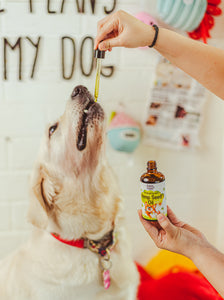 edible oil for your pooch