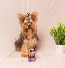 Load image into Gallery viewer, Organic paw balm for dogs
