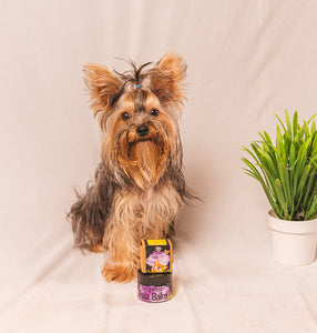 Organic paw balm for dogs