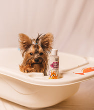 Load image into Gallery viewer, organic dog shampoo
