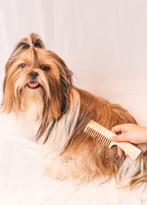 Dog hair comb