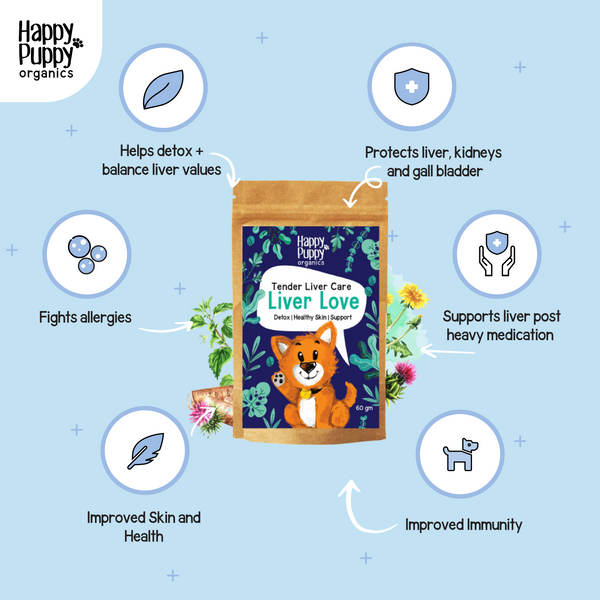 Liver treats for dogs