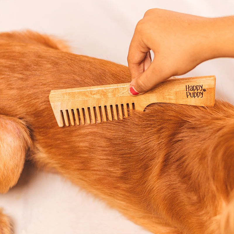 Comb shop for puppy